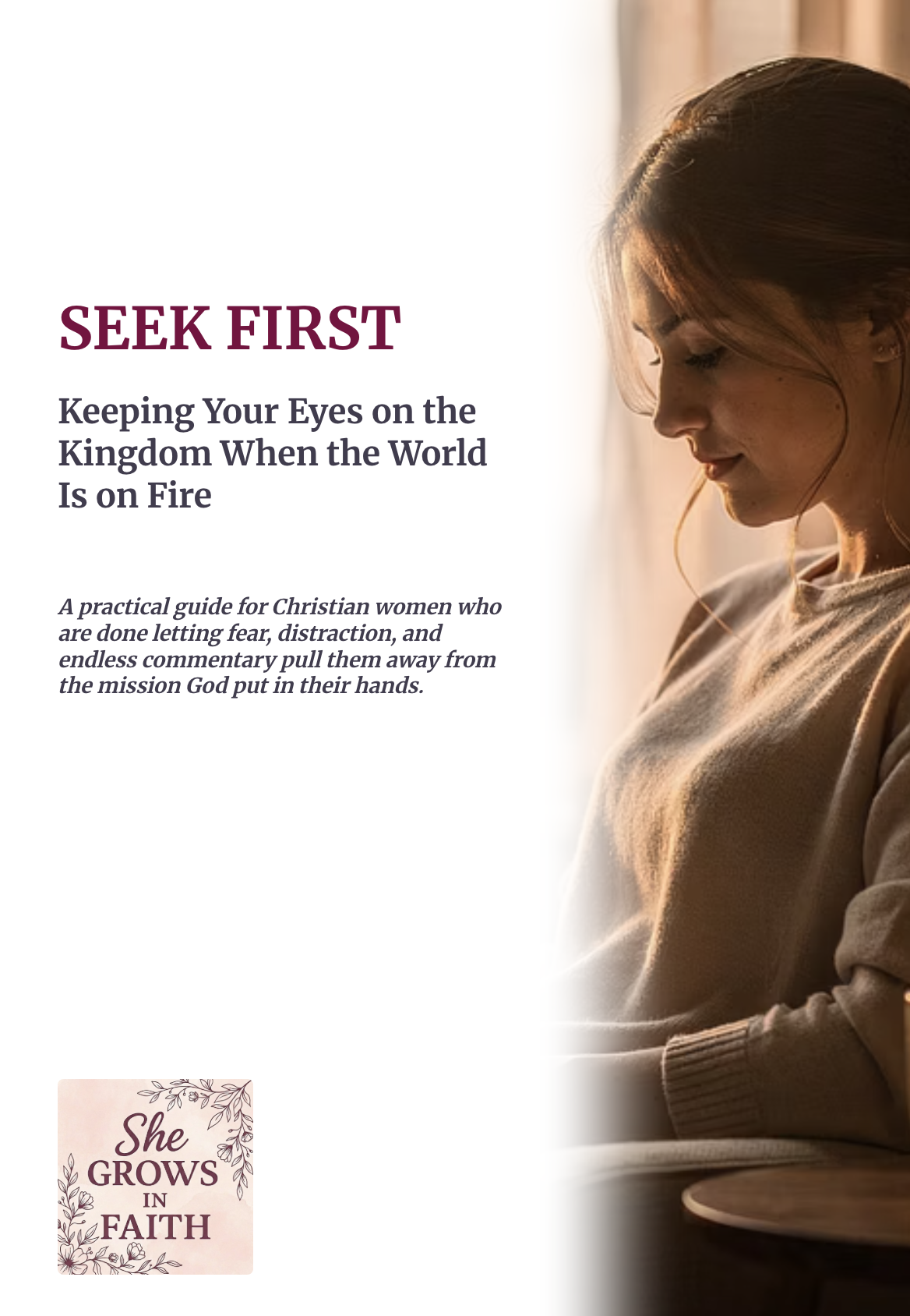 Seek First: A Biblical Guide to Putting God's Kingdom First